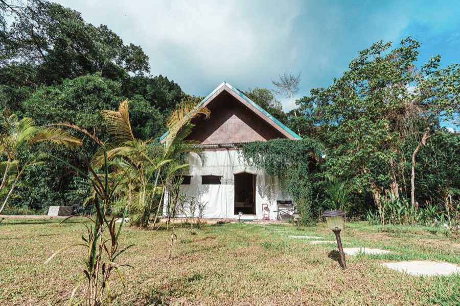 Listing photo of the cabin exterior seen across the garden and stepping-stone path