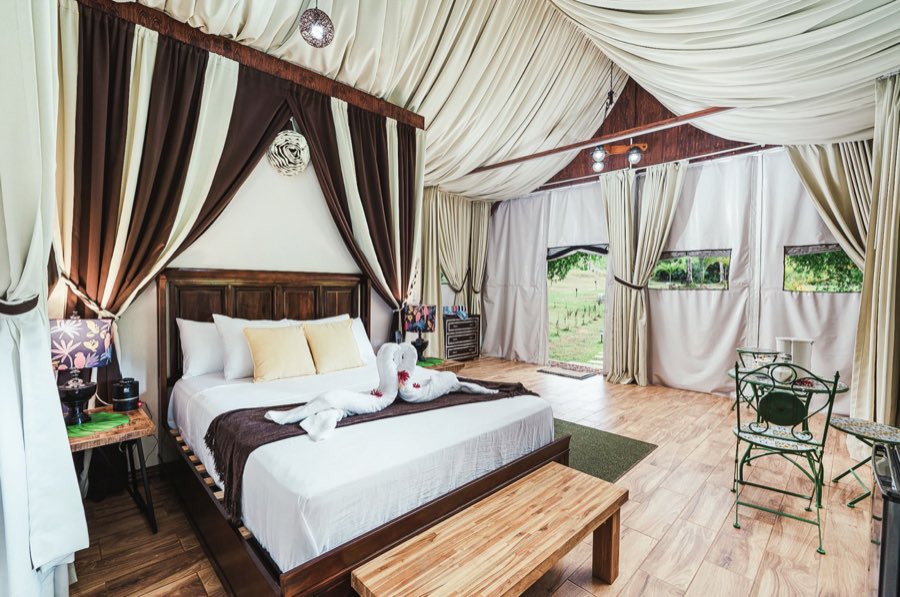Listing photo of the bed with towel swans and an open door to the lawn